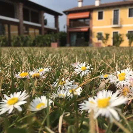 Casa Lidia - Alloggi Smart Breganze